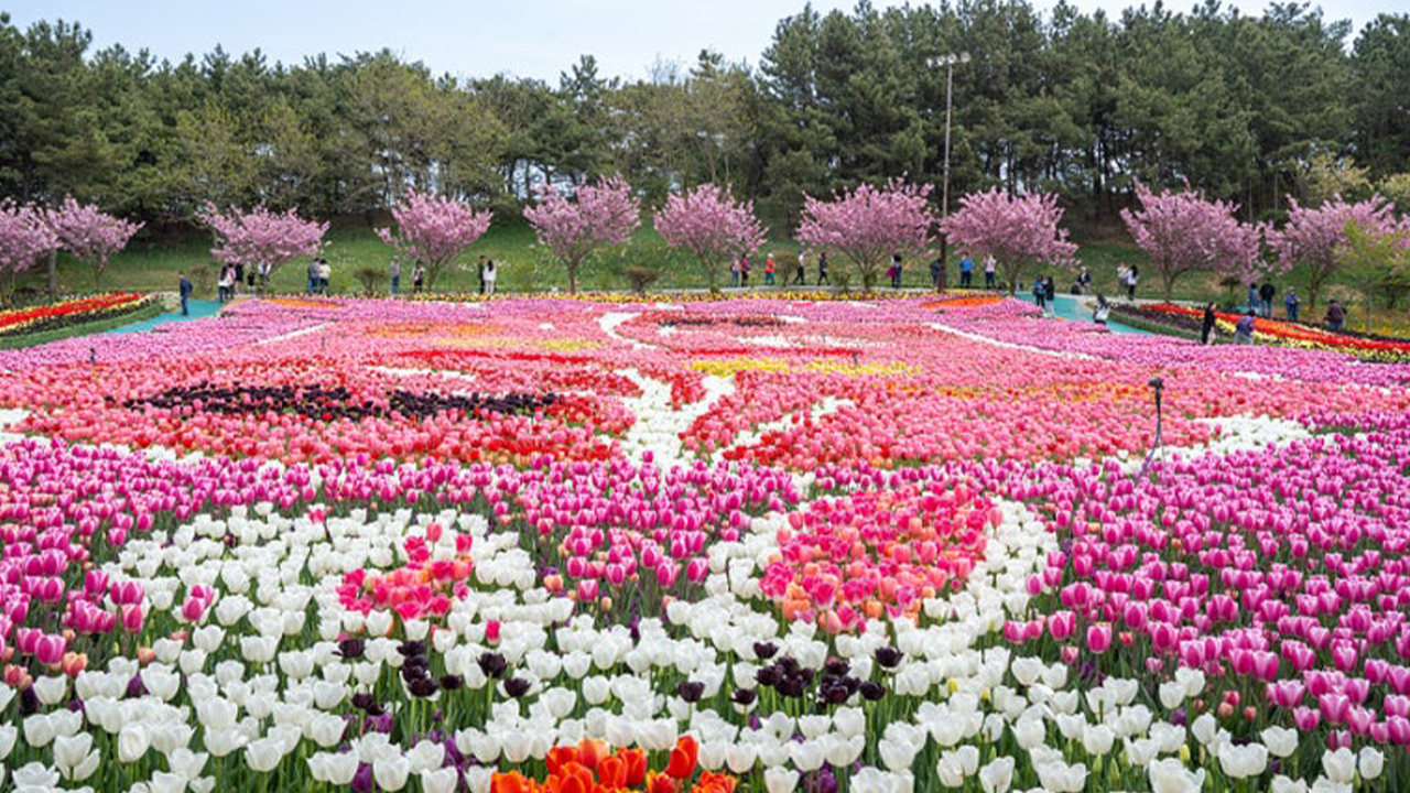 每個角落都綻放出新穎的形狀和色彩，帶來令人愉悅的驚喜。