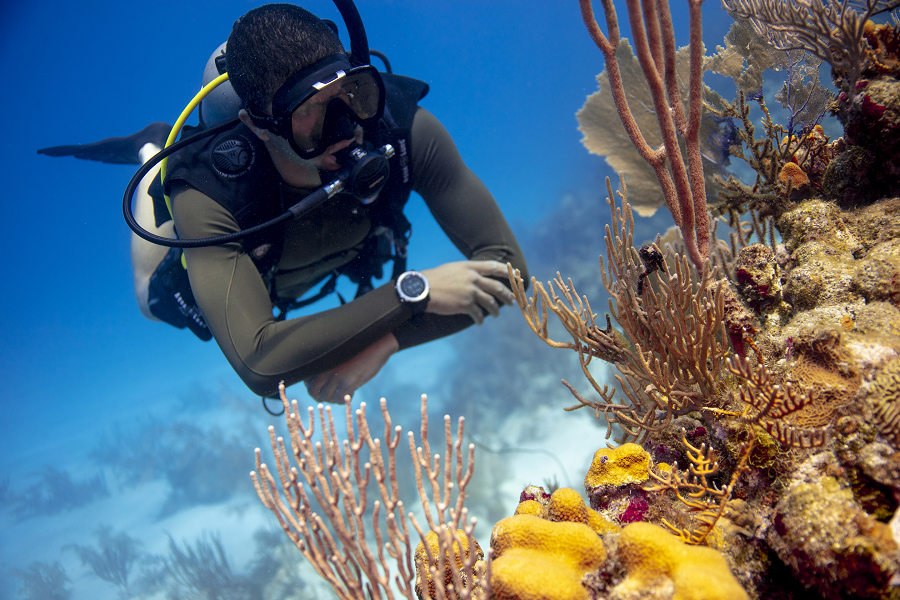 長灘島 PADI 潛水中心日出潛水體驗（08:00開始）