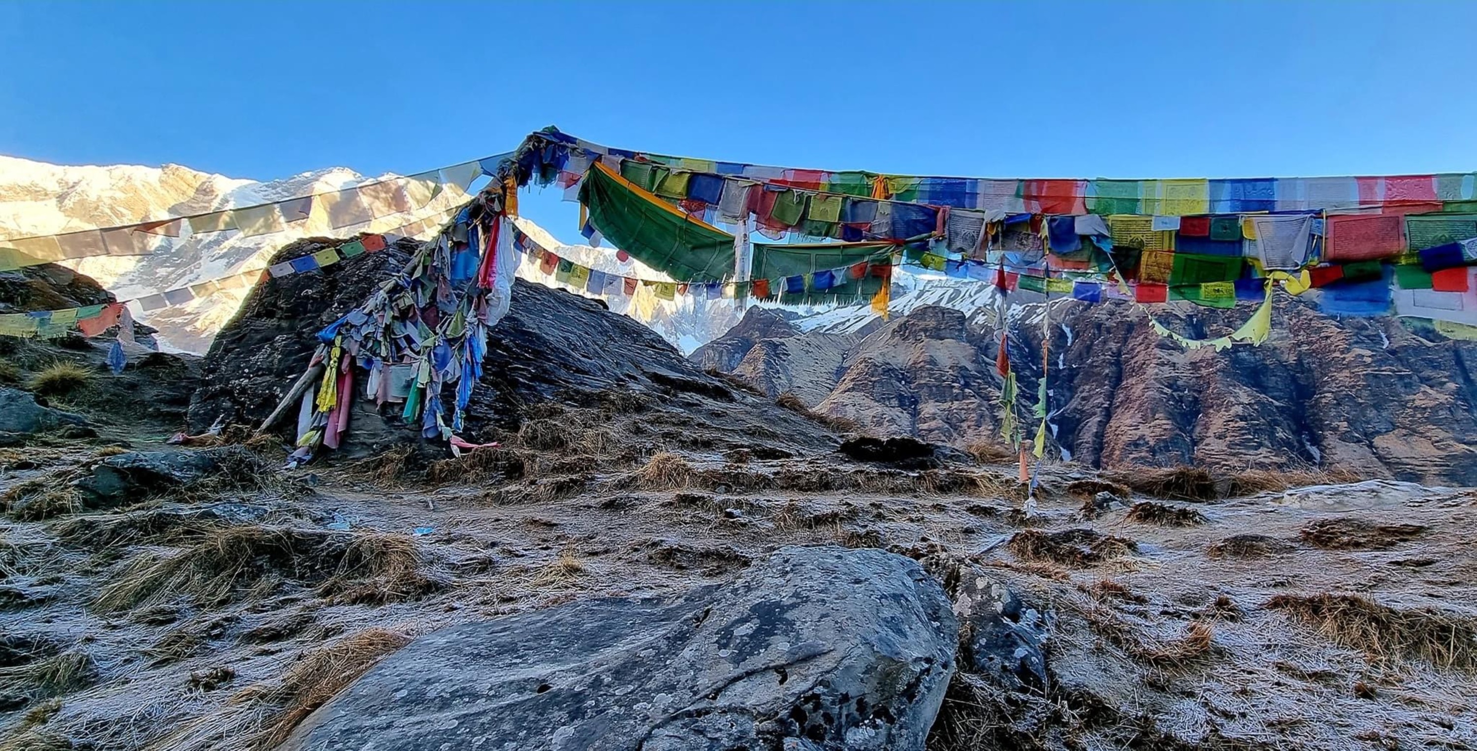 波卡拉：前往安納普納基地營的 5 日導覽健行