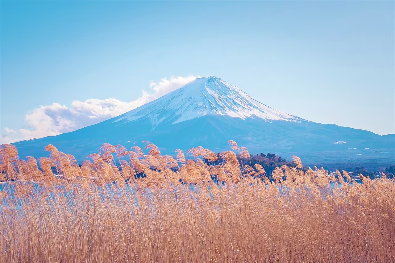 富士山一日遊 網紅打卡景點 | 新倉山淺間公園、西湖療愈之里根場、忍野八海、河口湖大石公園 | 隨機贈送好運信物 （東京出發）