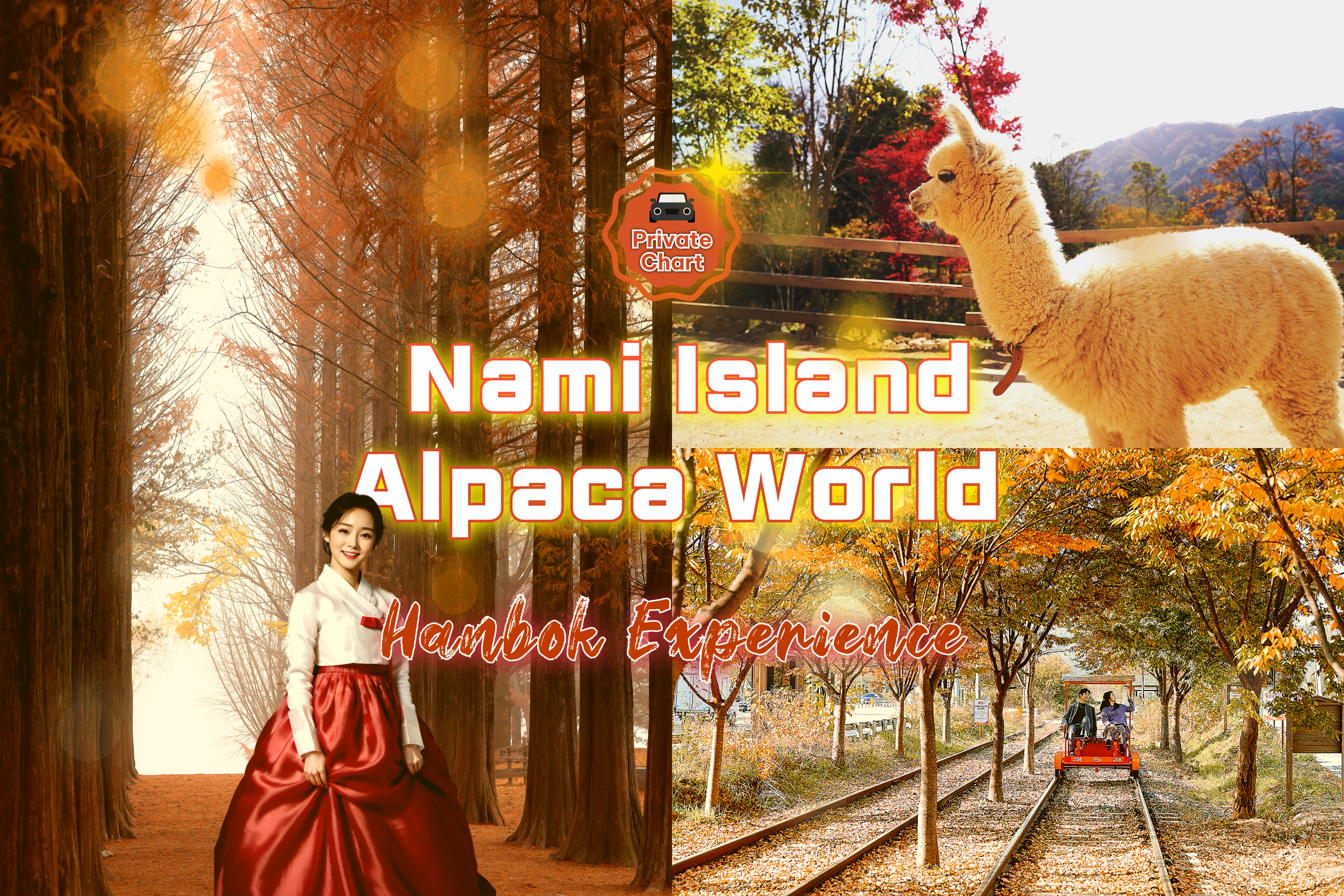 Nami Island+Alpaca+RailBike+Petite+LEGOLAND+Morning Calm PrivateTour