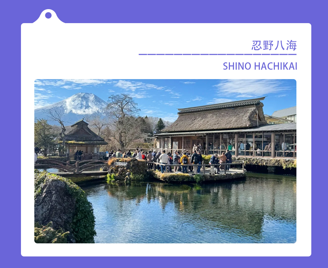 富士山經典一日遊｜五合目/新倉山公園+忍野八海+御殿場奧特萊斯/溫泉（二選一）贈送特色富士山泉草餅