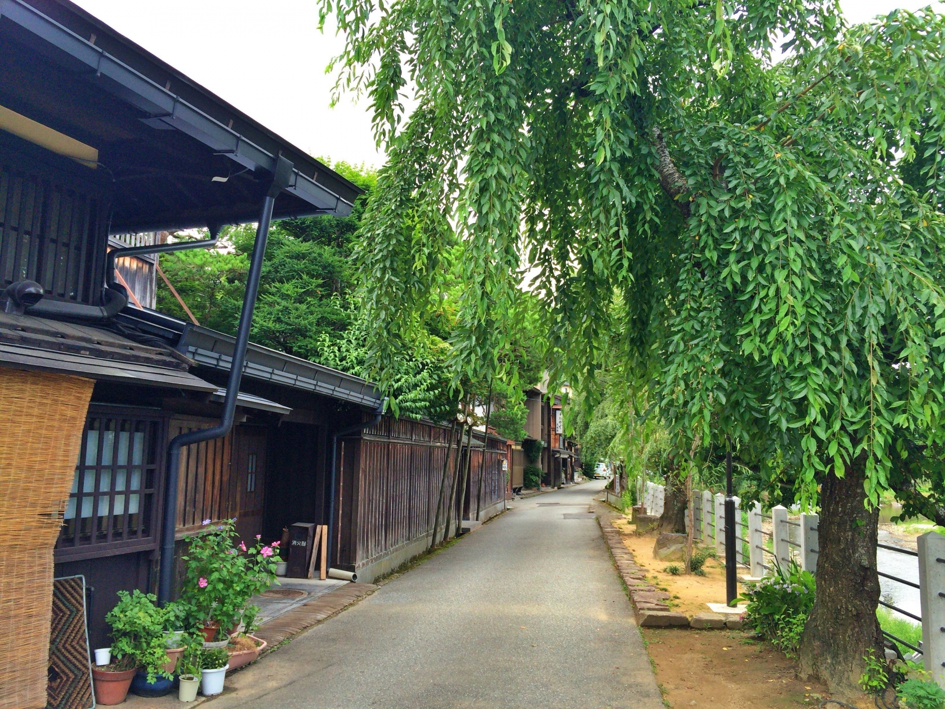 Takayama & Shirakawa-go Day Tour with Hida Beef Lunch