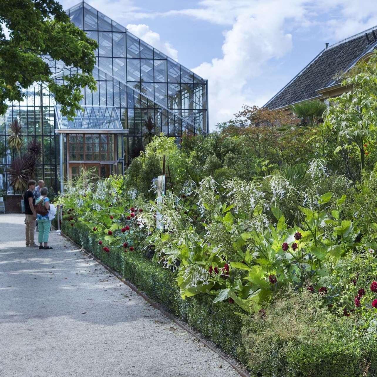Hortus Botanicus Leiden Ticket