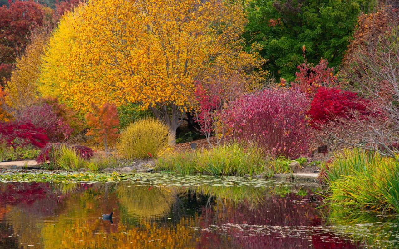 Mayfield Garden Full-Day Exploration Tour in Oberon