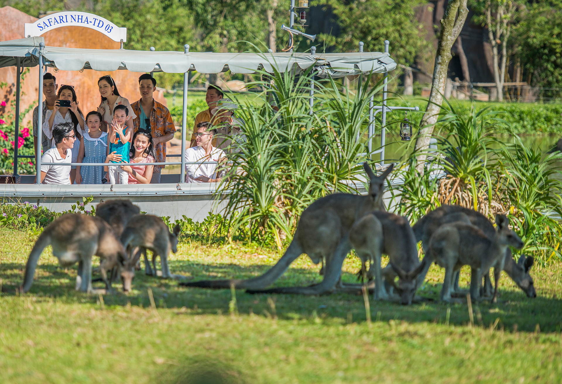 VIP safari tour