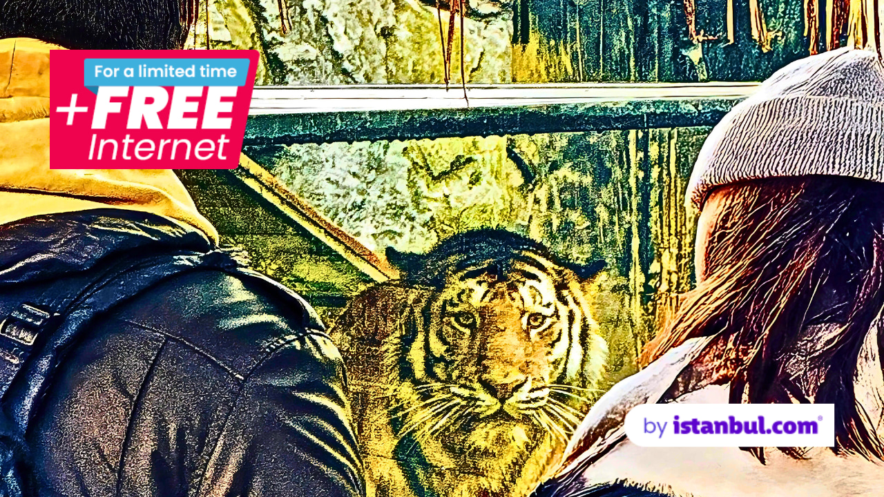 伊斯坦布爾野生動物園獅園門票