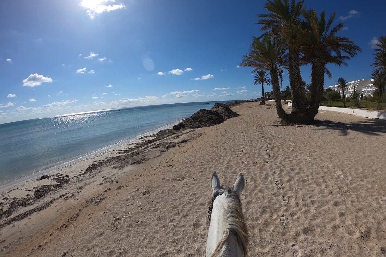 傑爾巴瀉湖（Djerba Lagoon）騎馬體驗