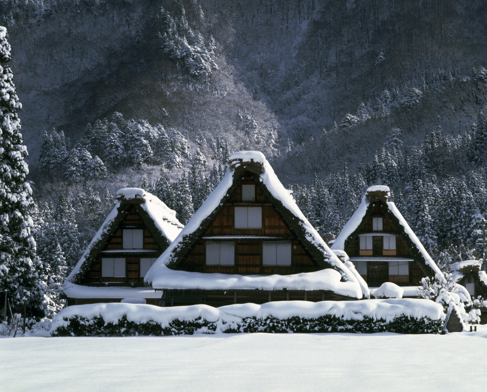 Shirakawago & Hida Folk Village Multi-Day Winter Sightseeing Tour