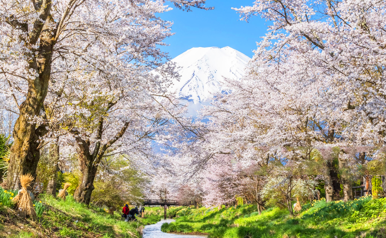 富士山五合+新倉山淺間公園+忍野八海+御殿場奧萊