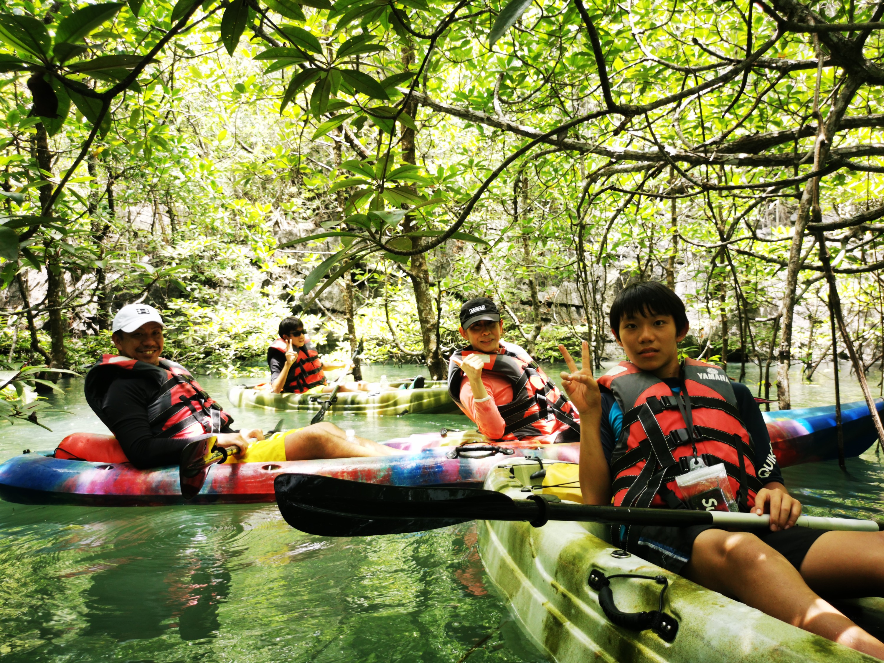 Mangrove Kayaking (Day or Sunset) Tour in Langkawi