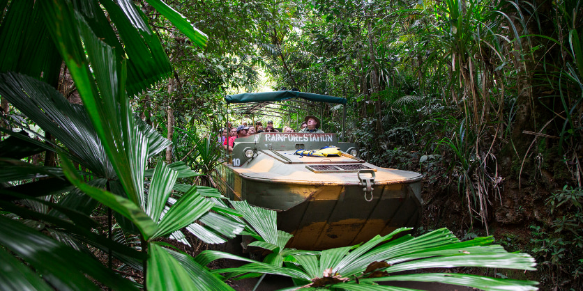 Kuranda Deluxe with Skyrail from Cairns