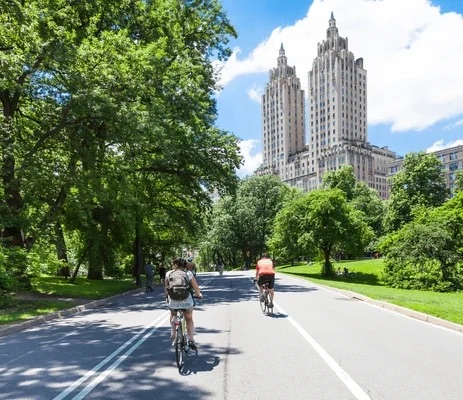 Complete Manhattan 5h Walking Tour & Cycle Central Park