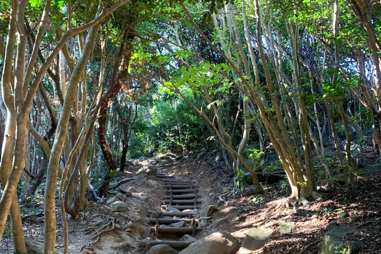 九州糸島｜白絲瀑布·雷山千如寺·一蘭拉麵之森·櫻井二見浦 夫婦巖一日遊｜福岡出發