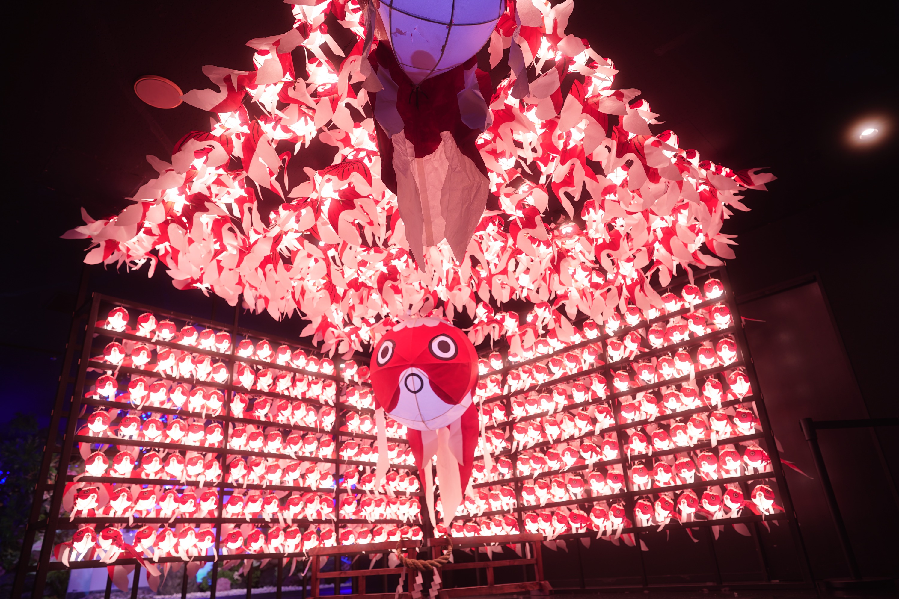 奈良金魚博物館門票