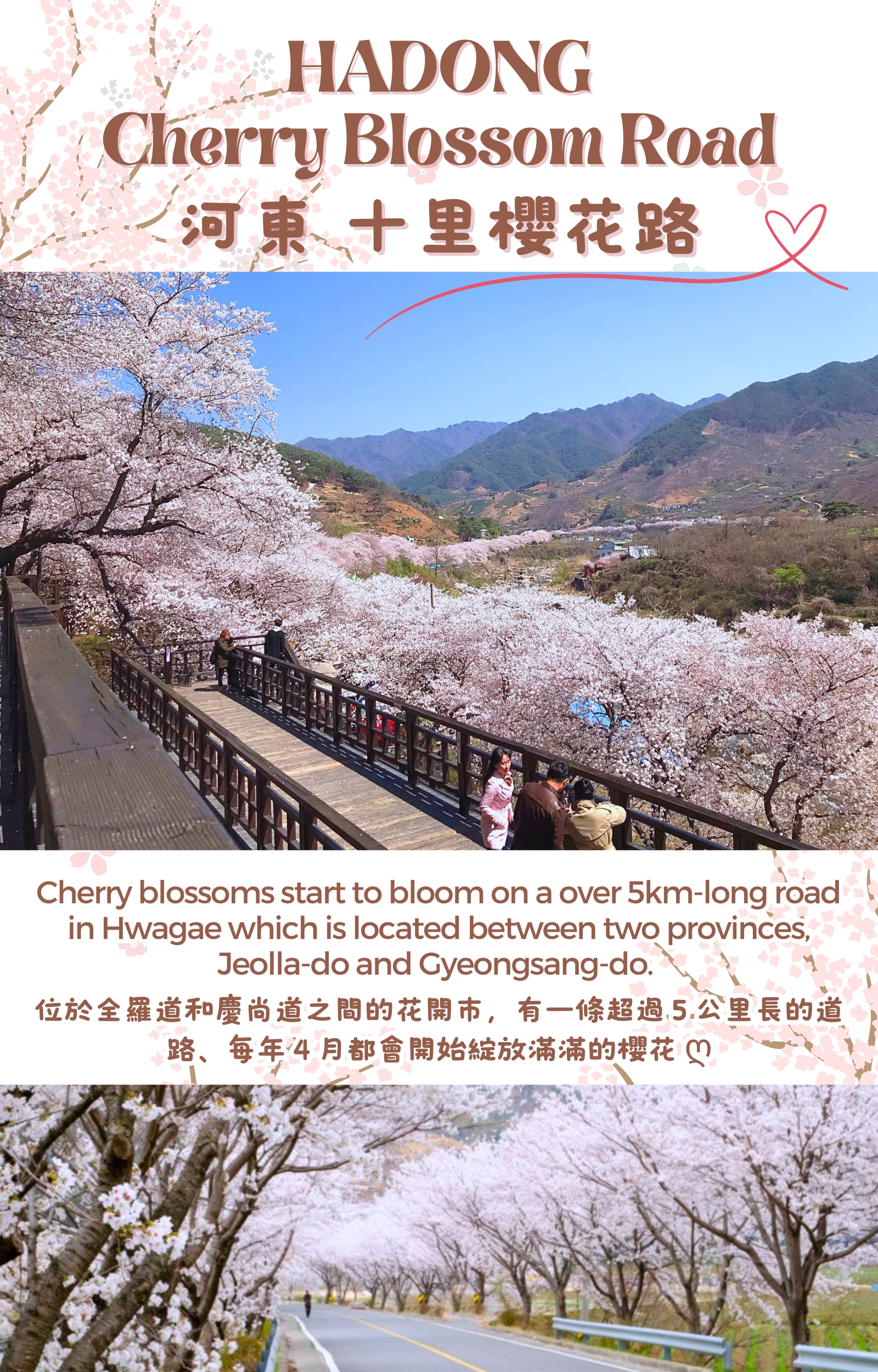 Hadong Cherry Blossom & Ssanggyesa & Flyway Cable Car Tour