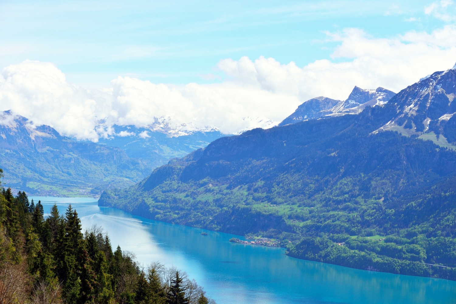 Interlaken and Harder Kulm Viewpoint Trip from Zurich