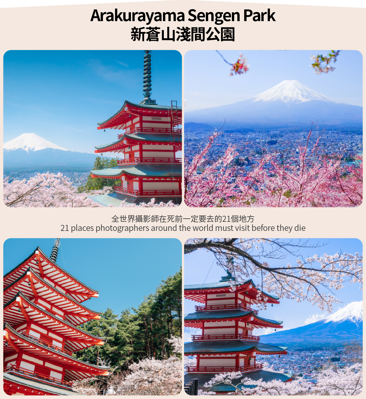 【富士山單車騎行體驗遊】山中湖騎行體驗&忍野八海&河口湖&富士山淺間公園或日川時計店網紅騎行一日遊（東京出發）