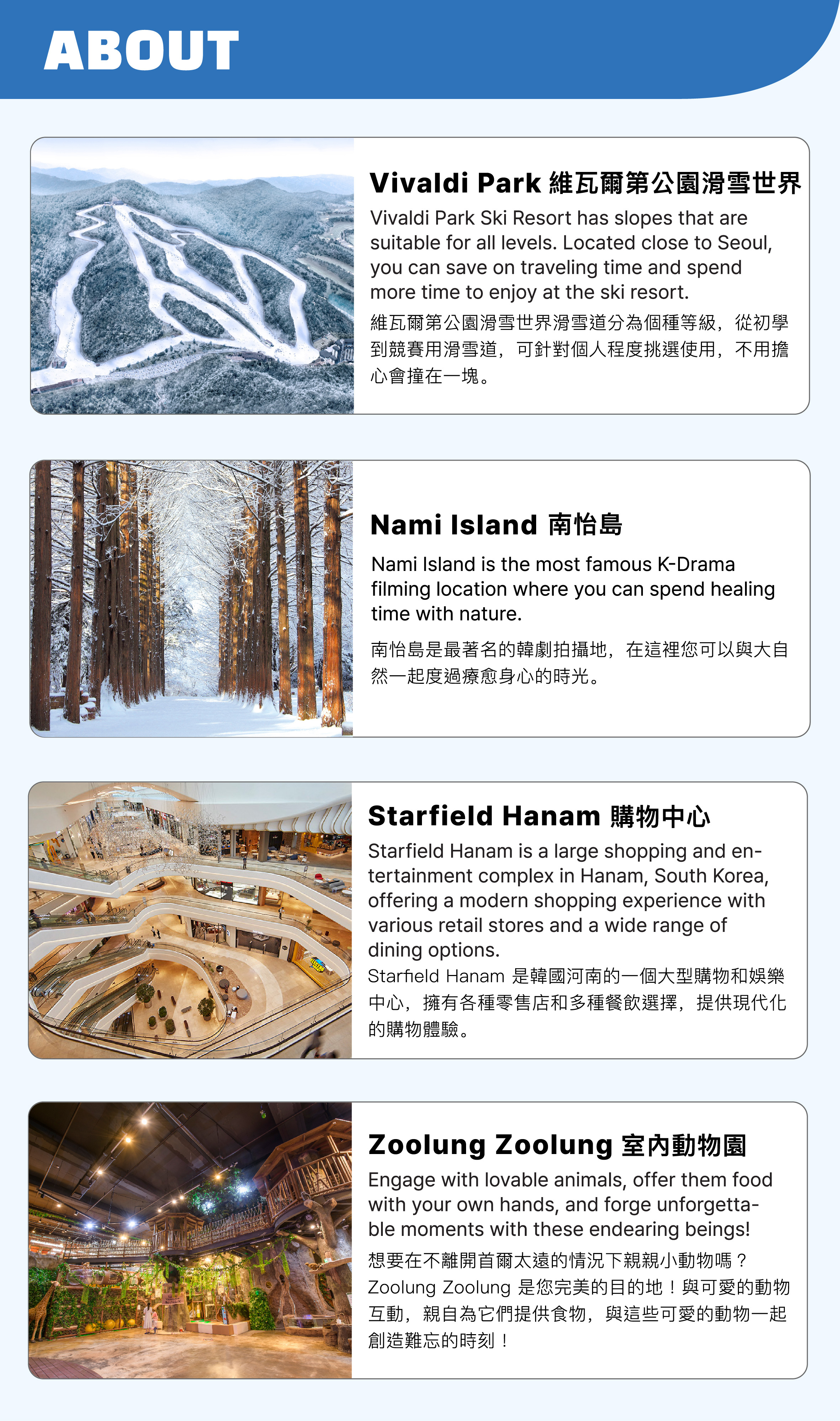 Nami Island & Vivaldi Park Winter Ski Day Tour from Seoul