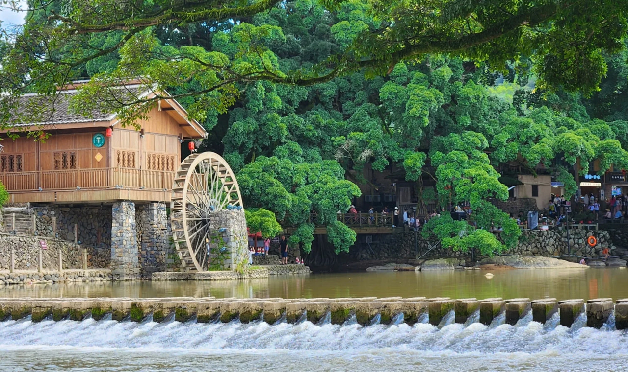 雲水謠水車古榕樹