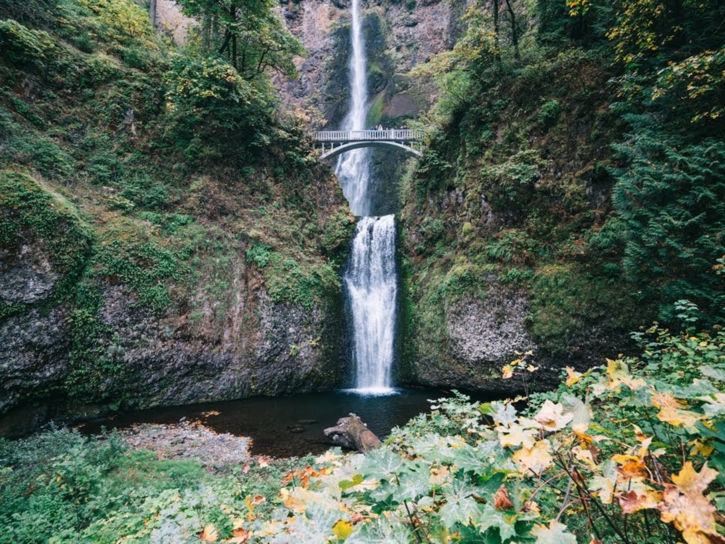 Mount Hood, Multnomah Falls, and Hood River Day Tour from Portland