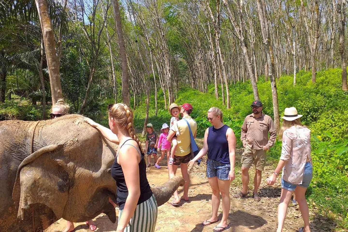 甲米大象保護營 & Huay Tho瀑布之旅