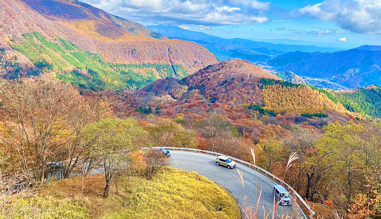 東照宮&伊呂波山道&明智平空中纜車&展望臺&中禪寺湖&華嚴瀑布