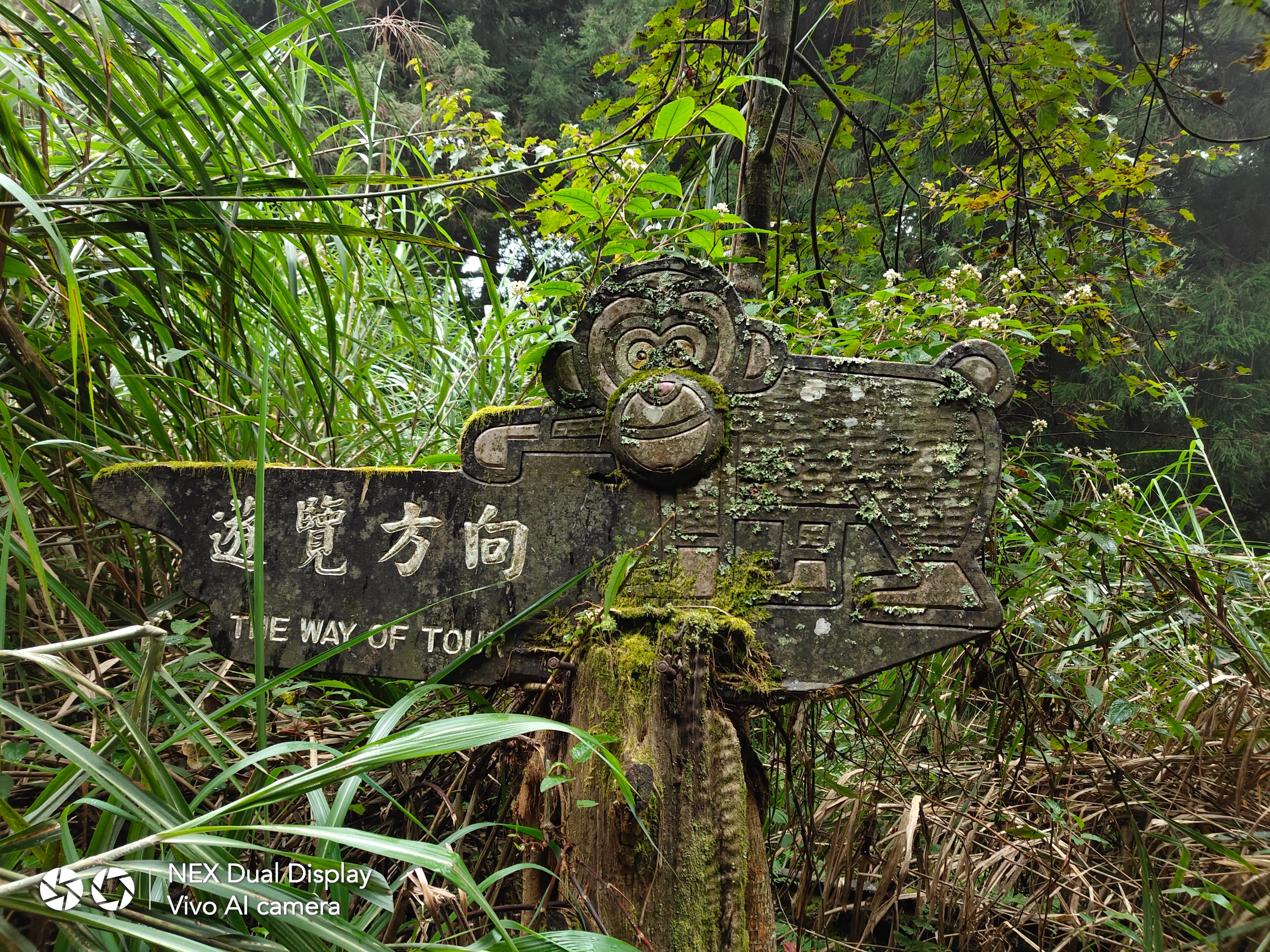 嘉義｜溪阿縱走登山三日三夜體驗