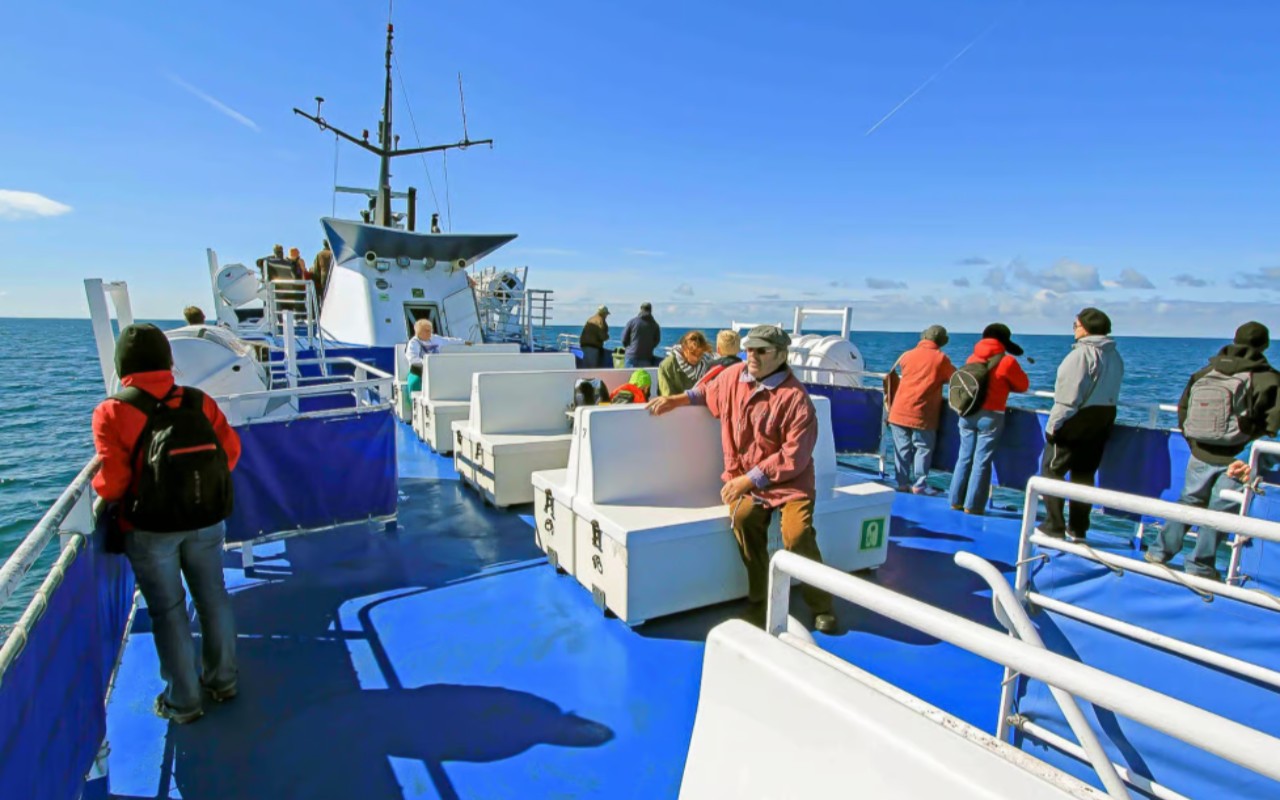 客人們在冰島壯麗的海景中捕捉到難忘的鯨魚蹤跡