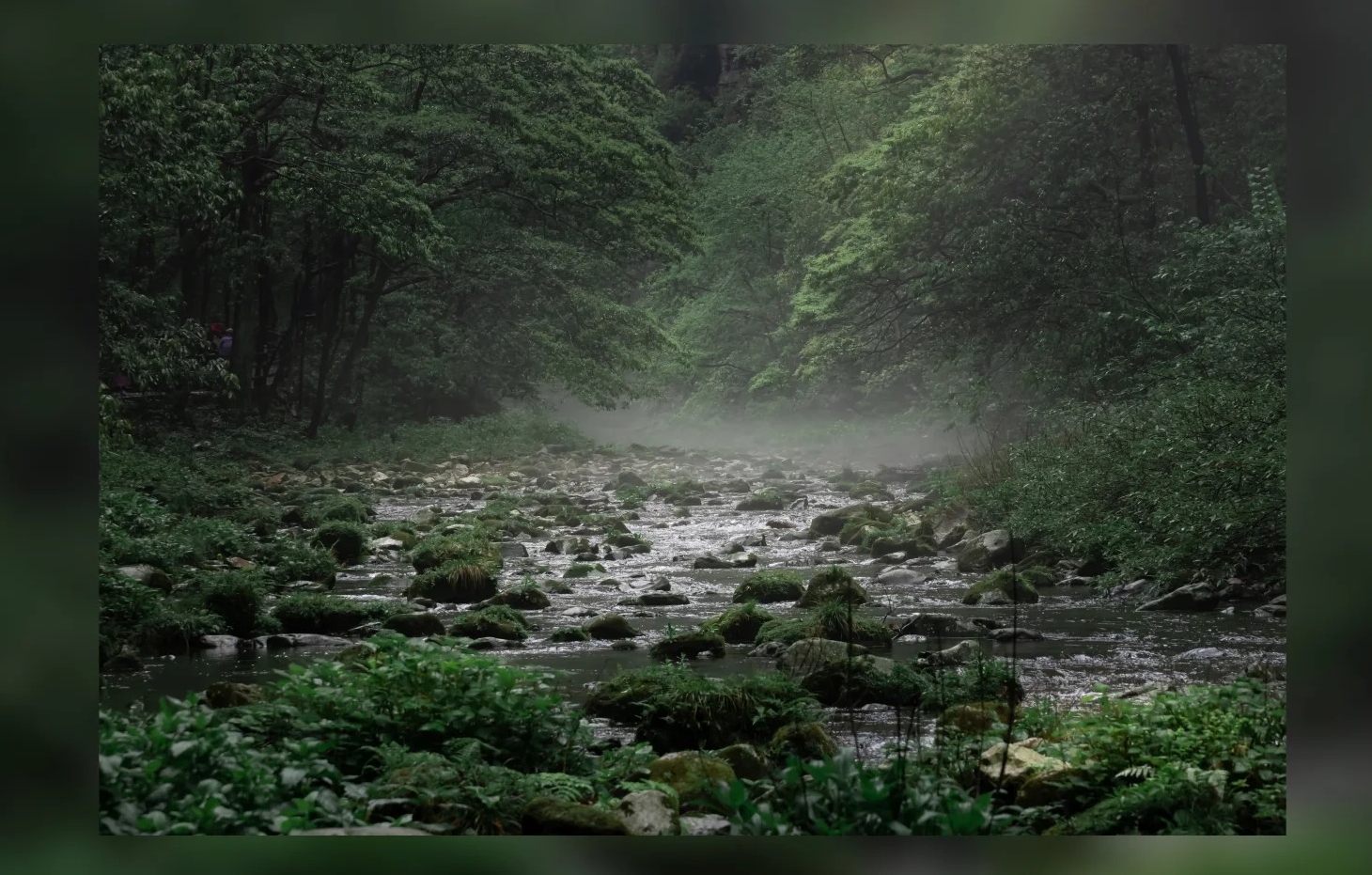 金鞭溪是張家界國家森林公園核心景點，以奇峰秀水、金鞭巖及“神鷹護鞭”奇觀聞名，被譽為“山水畫廊”