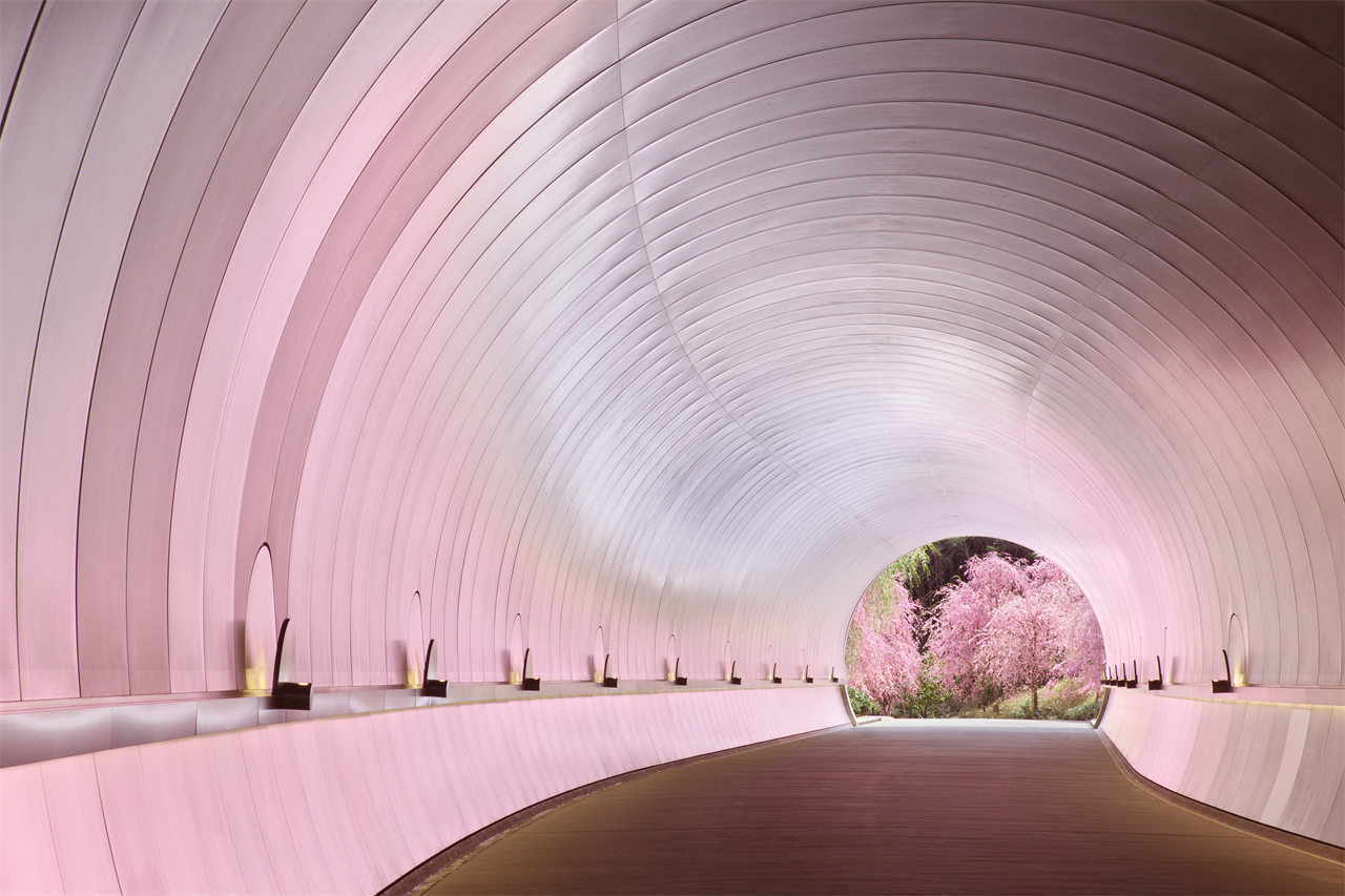 To enter the museum, you must first pass through a 120-meter-long silver tunnel.