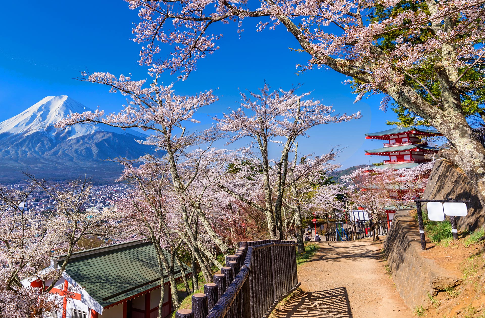 站在新倉山公園展望臺,遠望富士山那雄偉壯麗的身姿~ 站在新倉山公園展望臺,遠望富士山那雄偉壯麗的身姿~