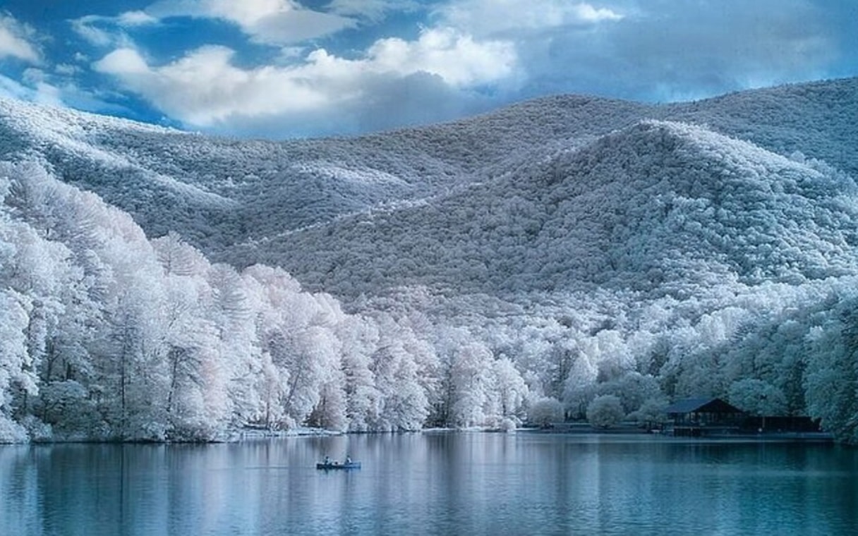 Amicalola & Blue Ridge One-Day Small Group Tour from Atlanta