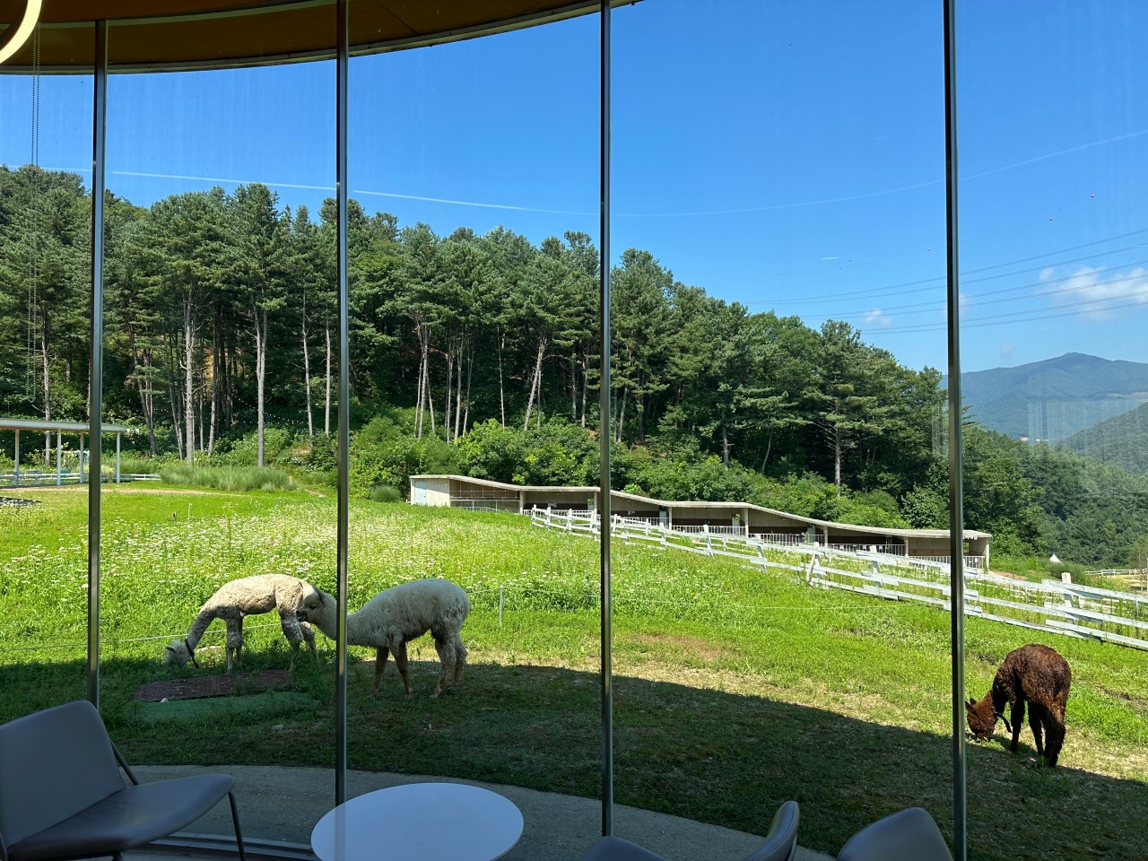 沉浸在大自然的輕柔旋律中，享受緩慢而寧靜的片刻。