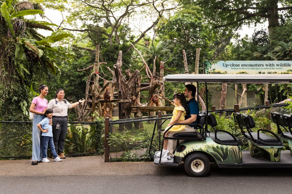 新加坡動物園門票（含遊園車）