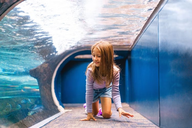 蓋特林堡裡普利水族館門票