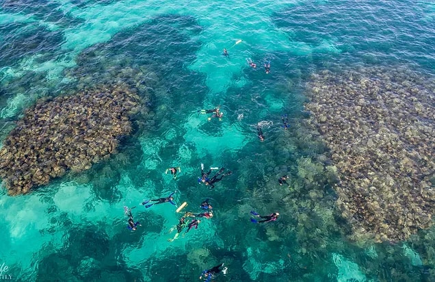珊瑚灣珊瑚觀賞＆浮潛之旅