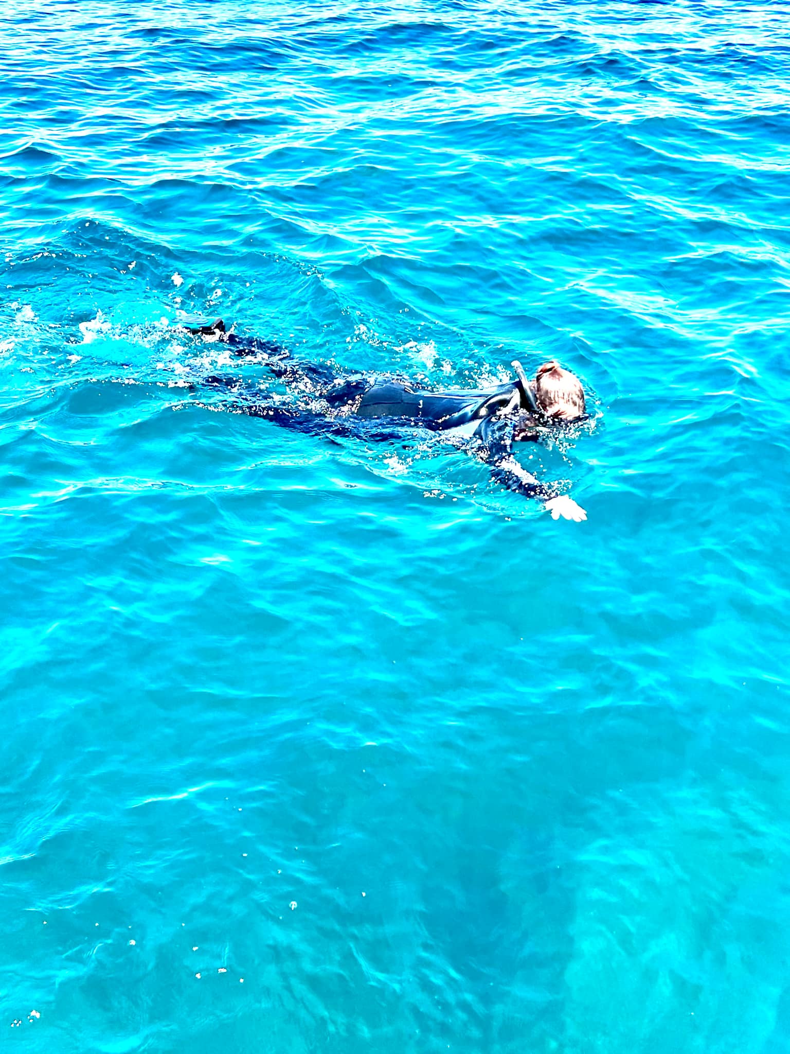 巴瑟尔顿码头雕塑浮潜步道之旅