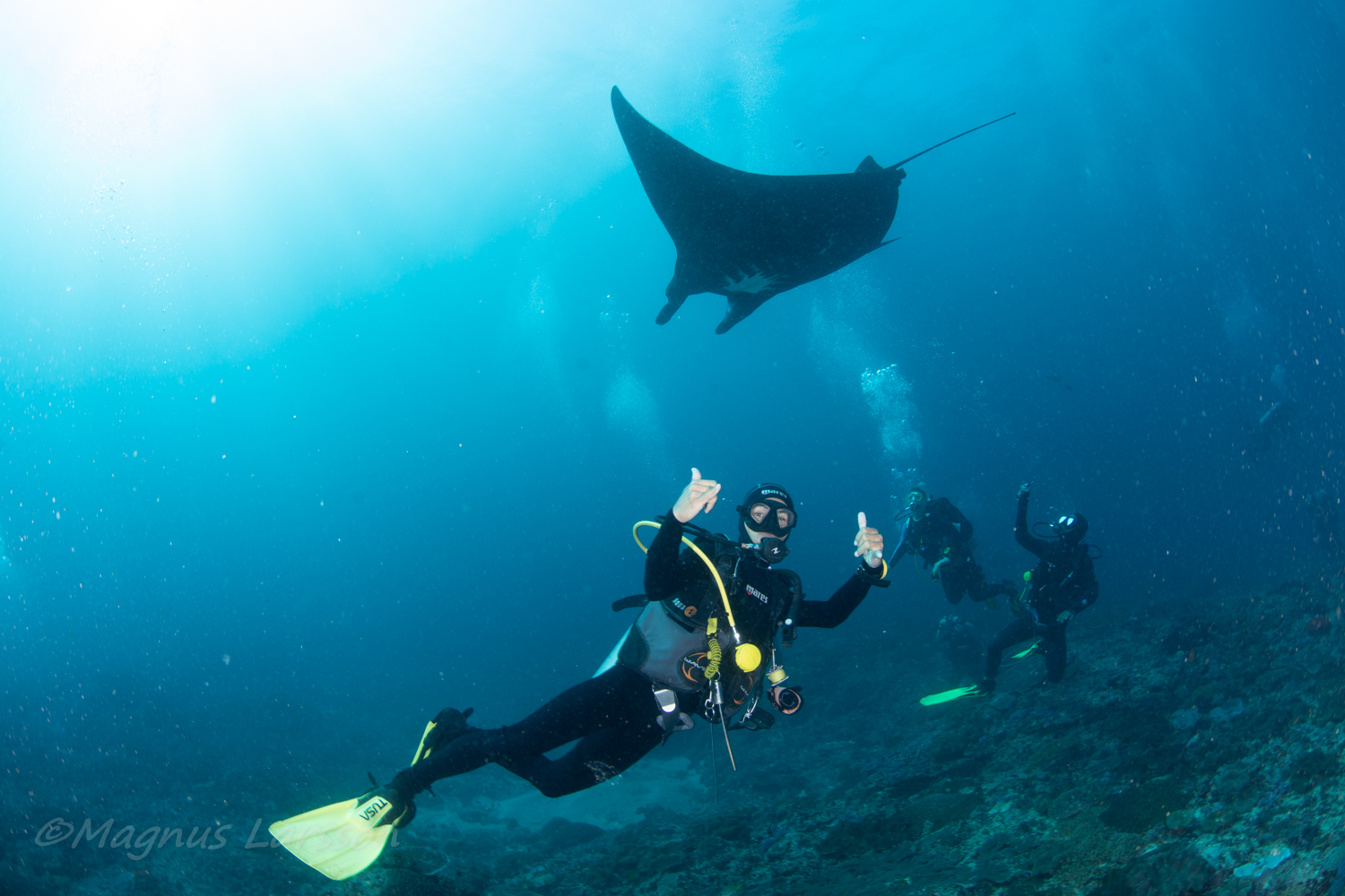 峇里島 PADI 五星潛水中心進階開放水域潛水員課程