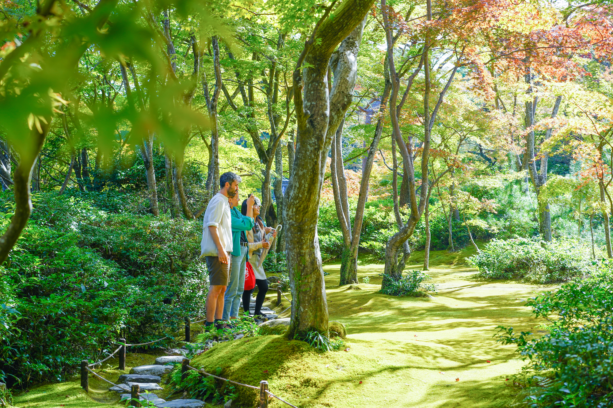 京都嵐山竹林 & 花園半日徒步之旅