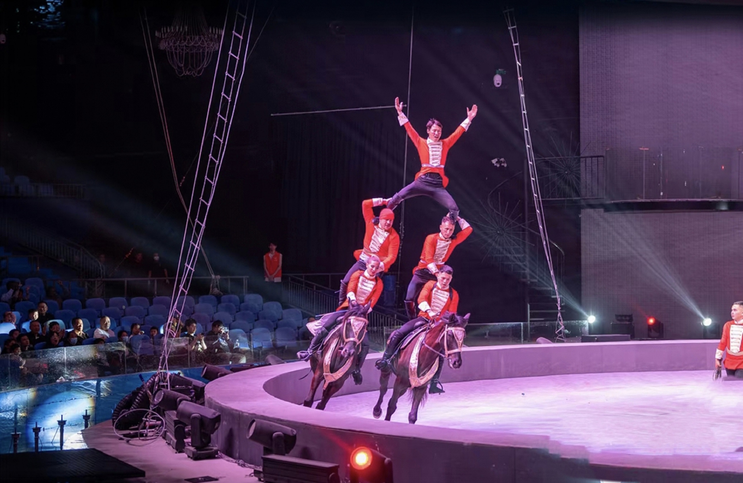 駿馬奔騰的蹄聲與觀眾的驚歎聲交融