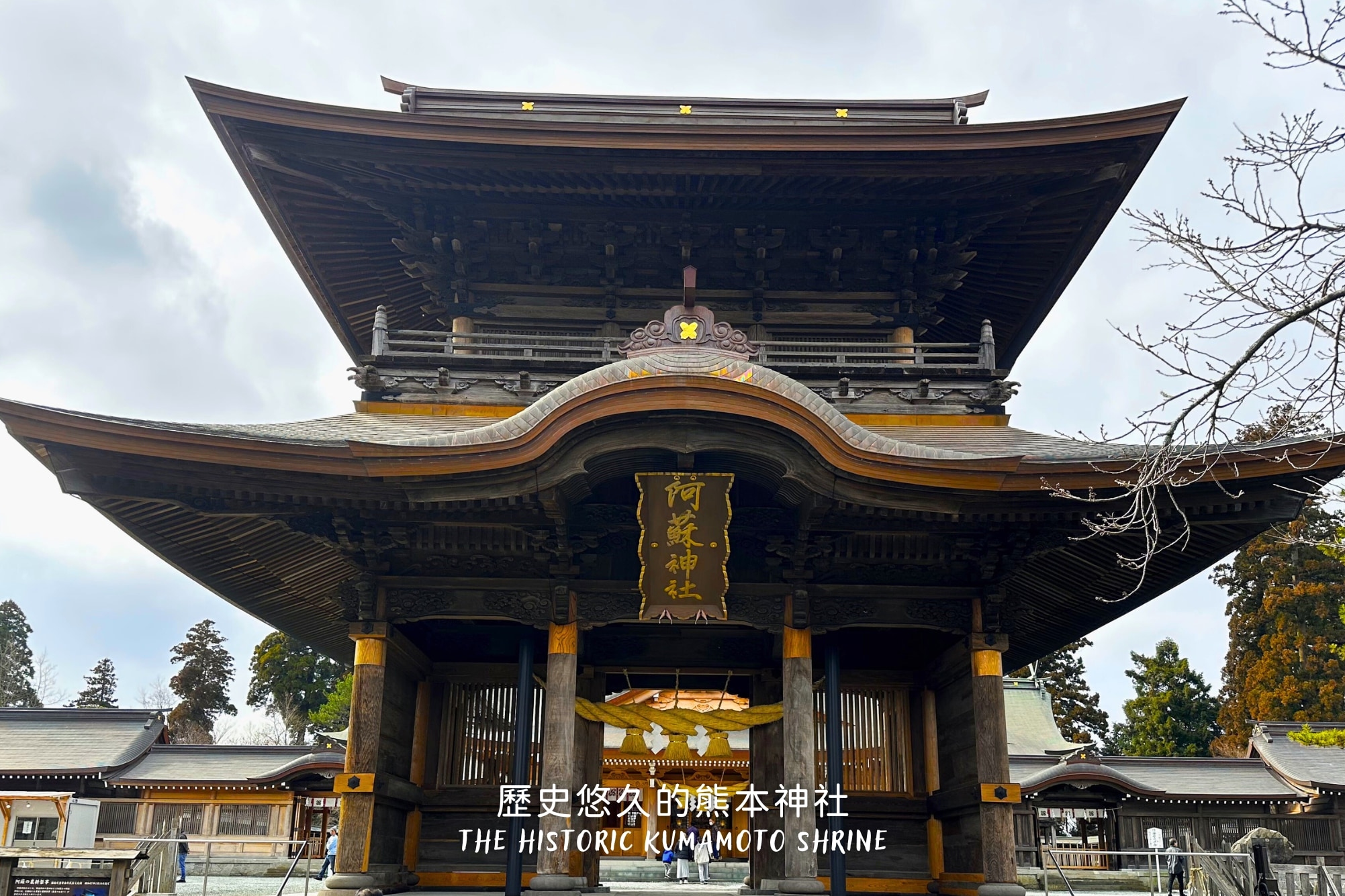 熊本阿蘇私人包車一日遊: 草千里騎馬體驗&赤牛料理&阿蘇火山&阿蘇神社
