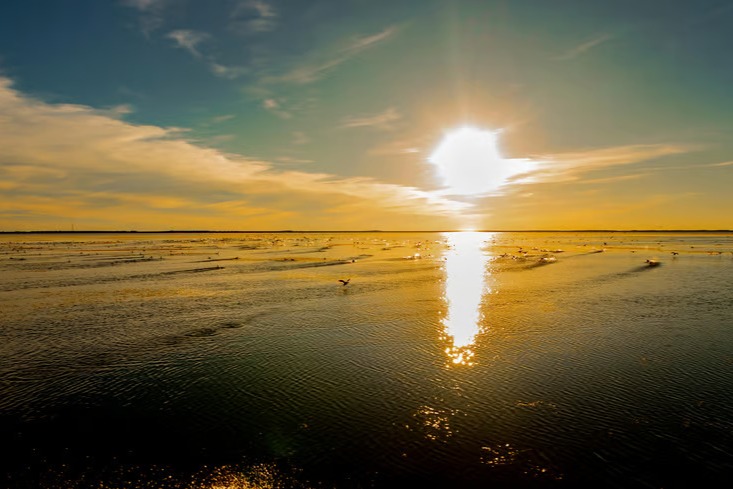 Discover the magic of the Everglades under the glow of sunset