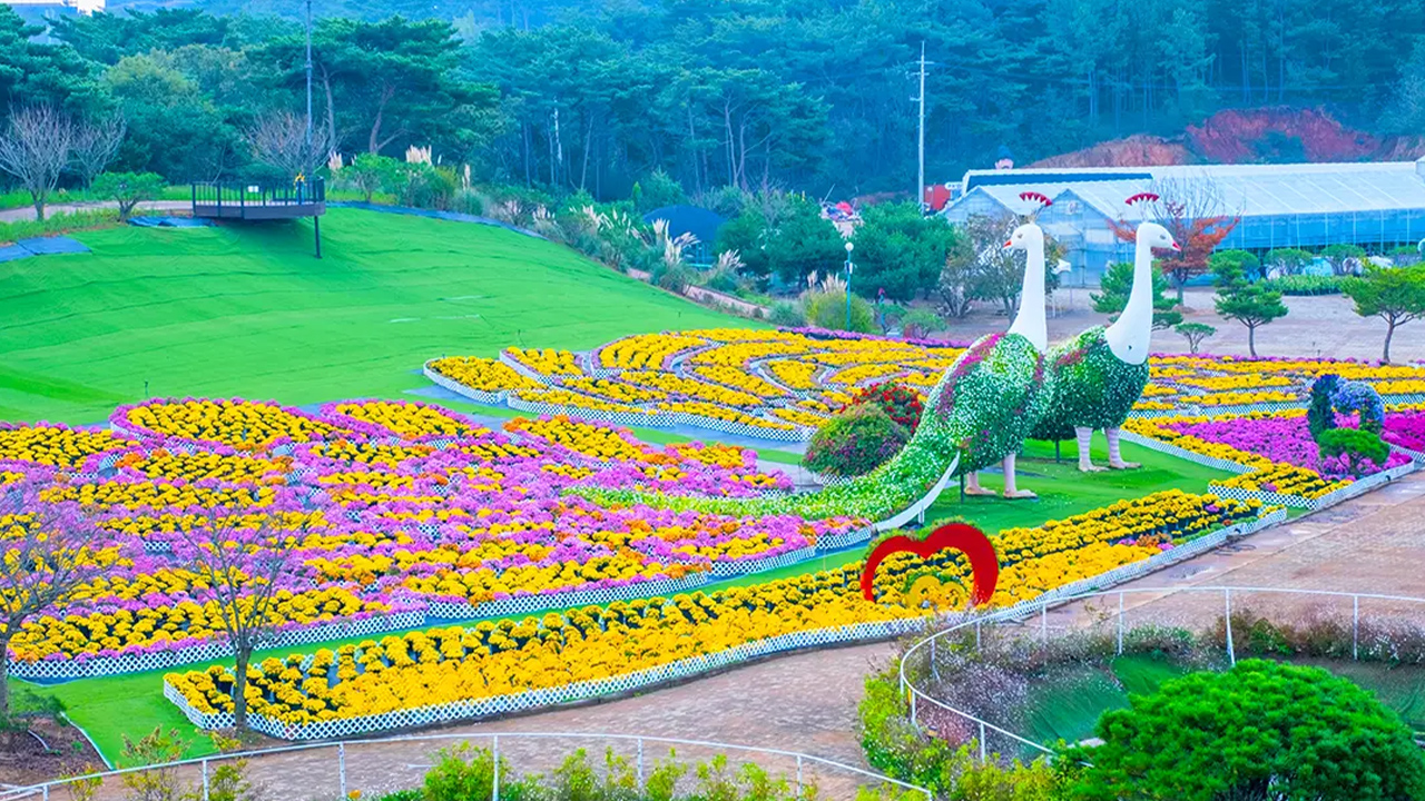 在溫柔的春日陽光下，無盡的鬱金香在微風中輕輕搖曳，創造出一個由流動色彩組成的童話世界。