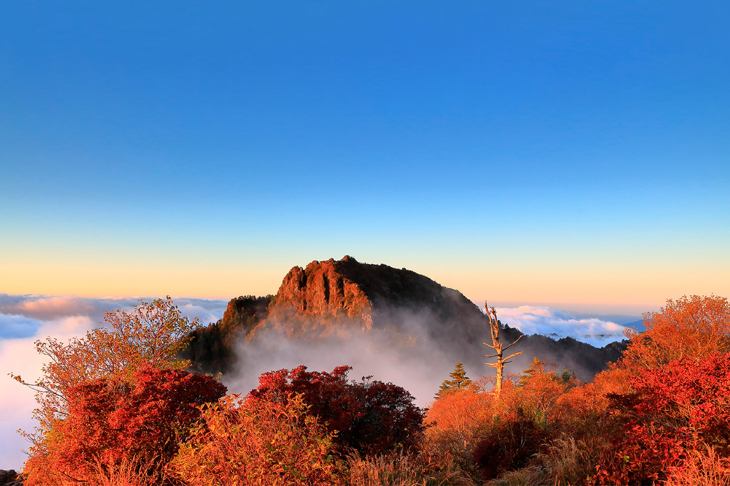 Jiri Mountain Autumn Foliage One Day Tour from Busan