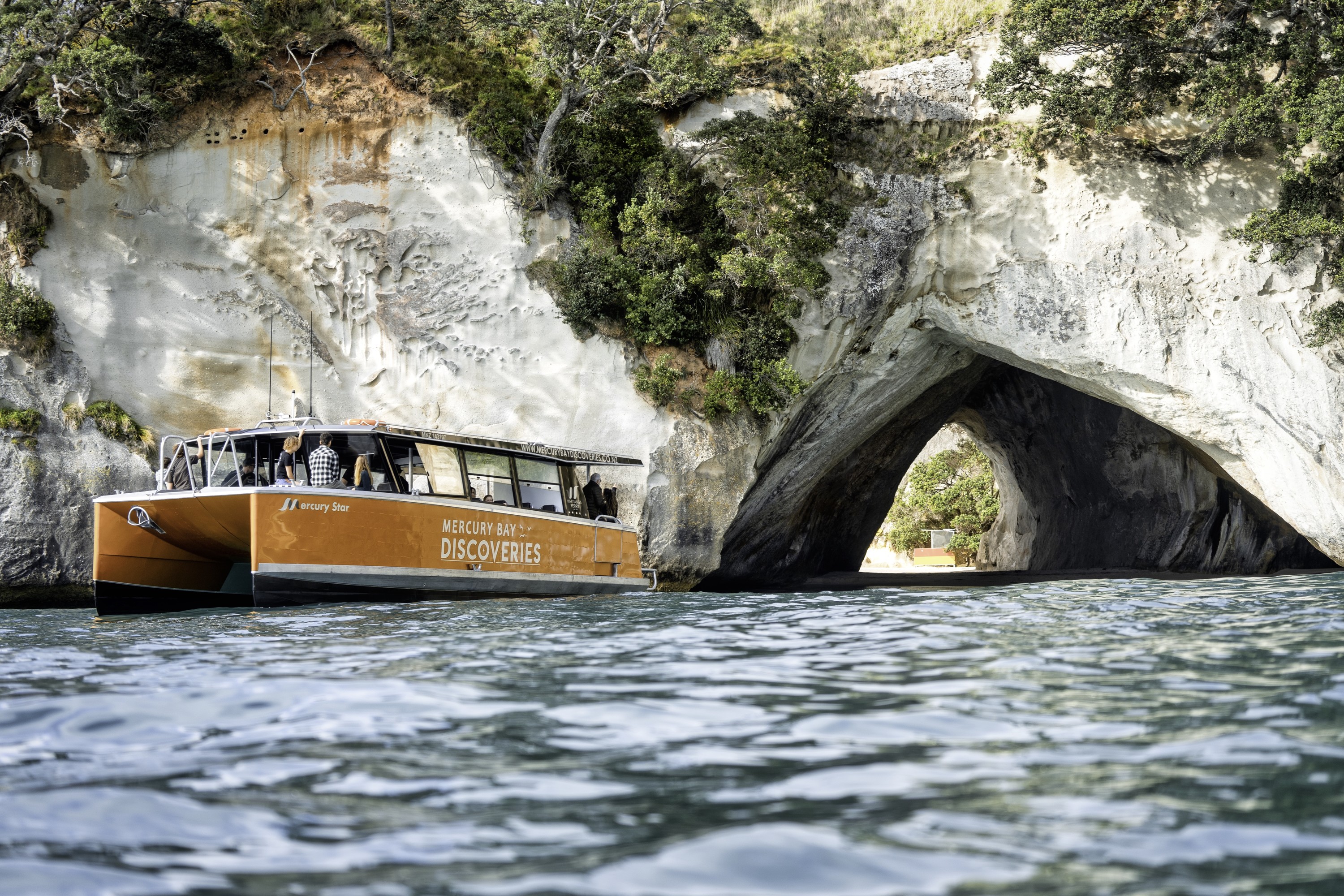 Cathedral Cove, Coast & Cave Tour 