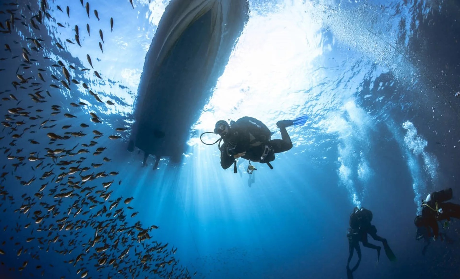 Dive into Cala Gonone's Beauty: Open Water Course with PADI Center