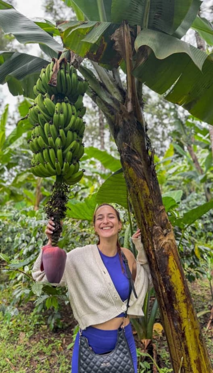 Napuru Waterfalls & Coffee Farm Tour