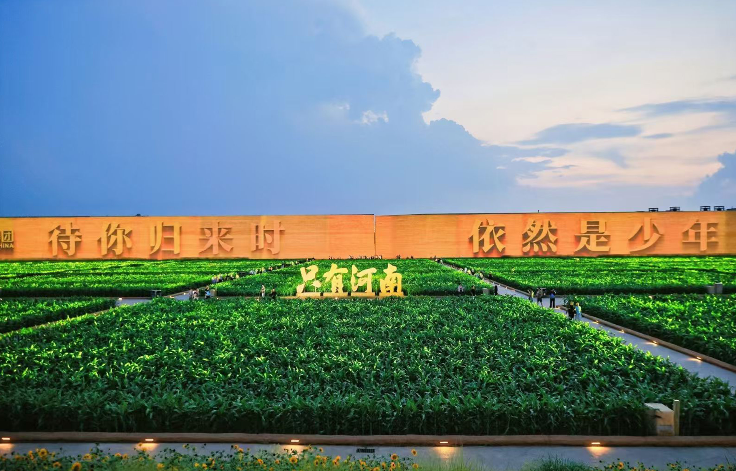 A Glimpse of Henan | Henan 4-Day Parent-Child Tour (Shaolin Temple + Martial Arts Experience + Longmen Grottoes + Only Henan Drama Fantasy City + Yellow River Intangible Cultural Heritage Chengni Inkstone Making)