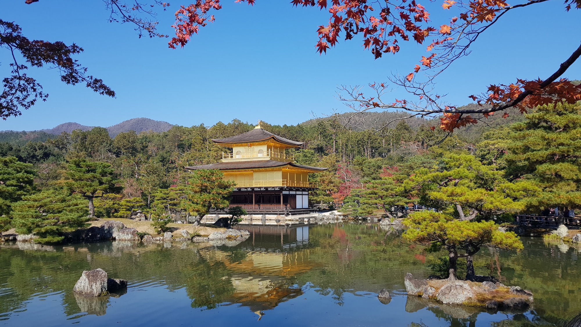 Kyoto: Immersive Arashiyama and Fushimi Inari by private vehicle